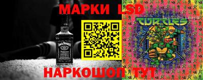 гидра Лесосибирск