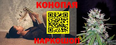 гидра Лесосибирск