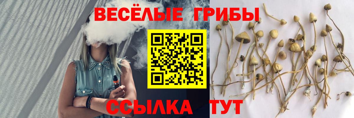Верхняя Салда  Псилоцибиновые грибы прущие грибы  Вход с VPN 